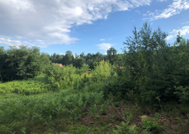 Prodajem zemlju u Slatini / Krčmarice