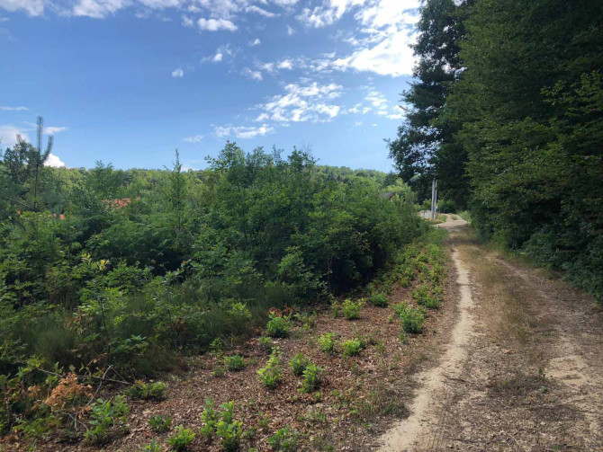 Prodajem zemlju u Slatini / Krčmarice