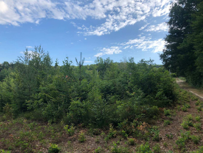 Prodajem zemlju u Slatini / Krčmarice