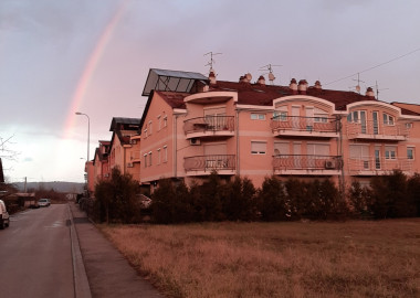 oglas