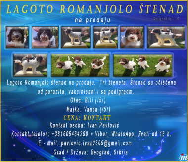 Lagoto Romanjolo