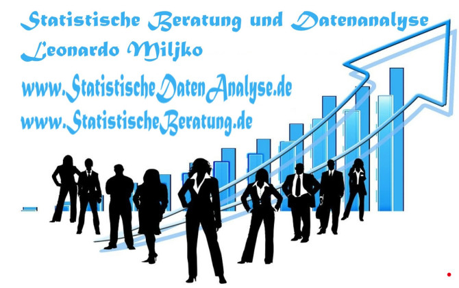 SPSS, AMOS, nVivo, Excel  - Profesionalna Statistička Agencija - Vaš Pouzdan Partner za Analizu Podataka