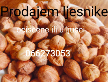 Ljesnici 