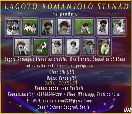 Lagoto Romanjolo