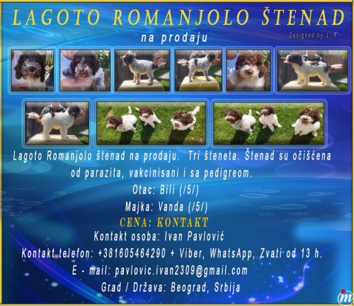 Lagoto Romanjolo
