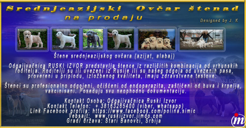 Srednjeazijski Ovčar